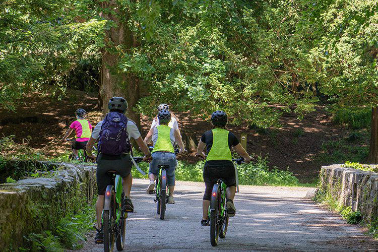 Self Guided Tollymore Forest E-Bike Safari