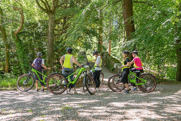 Tollymore Forest E-Bike Safari