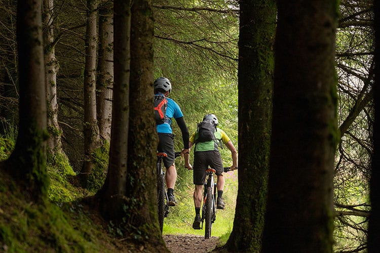 Rostrevor cheap mountain biking