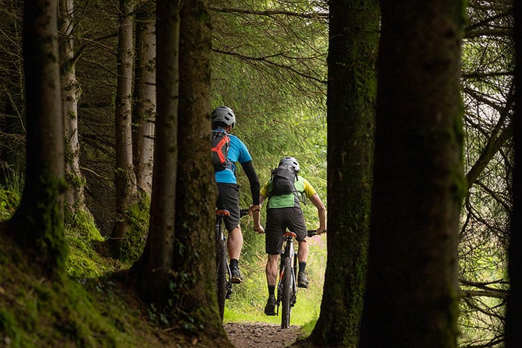 MTB Trail Adventure – Rostrevor Red Loop