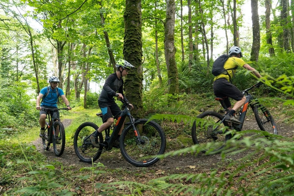 Three mountain bikers in the forest the the Red Trail in Castlewellan Forest Park near the Mourne Mountains.