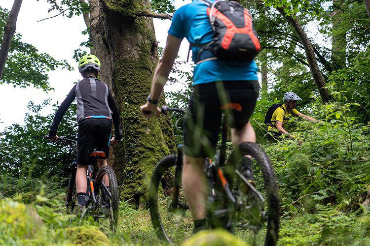 Three mountain bikers castlewellan trails
